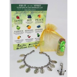 Fruit of The spirit Charm bracelet for little divas